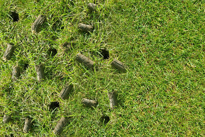 When and Why You Should Aerate Your Lawn at Least Once a Year..
