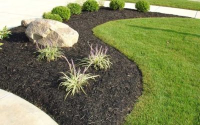 How to Add Mulch To Your Yard the Right Way…