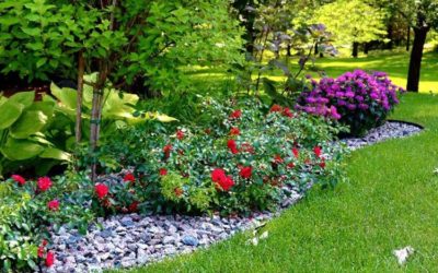 6 Landscaping Ideas That Will Allow You To Get More Out of Your Backyard…