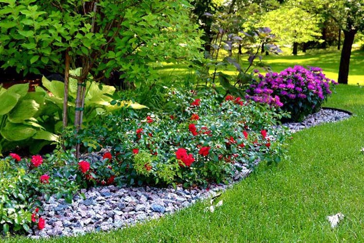 6 Landscaping Ideas That Will Allow You To Get More Out of Your Backyard…