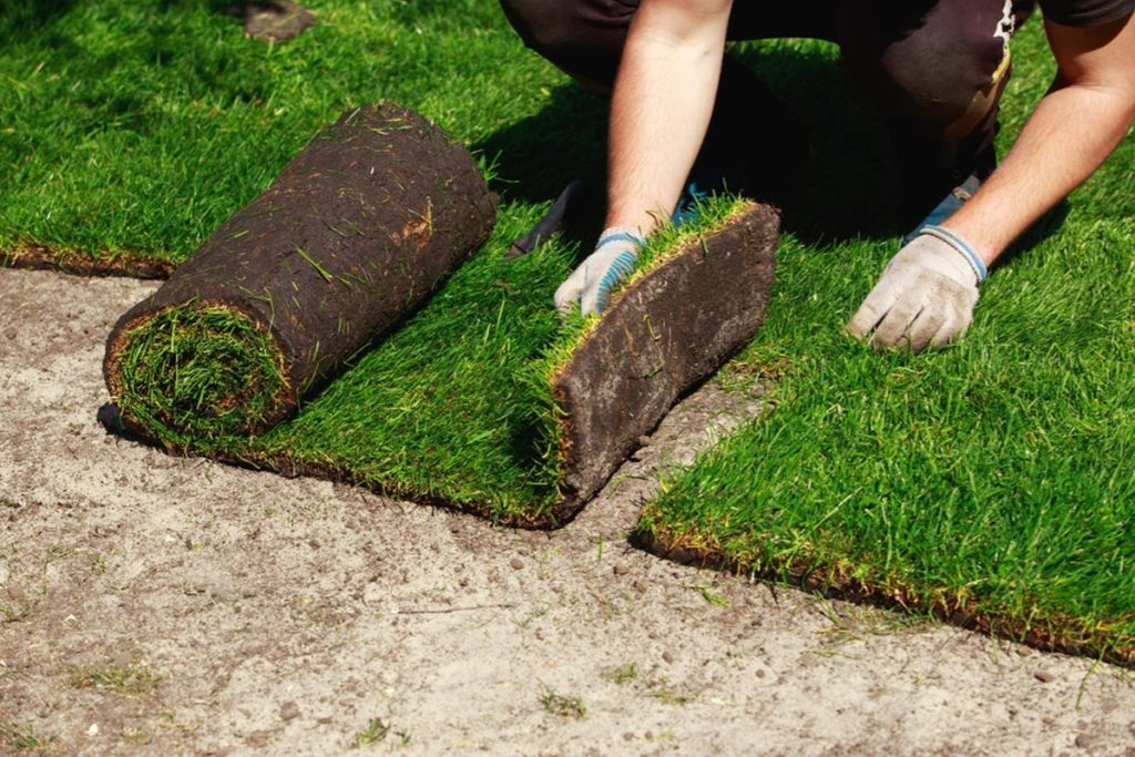 how-many-square-feet-does-a-pallet-of-grass-sod-cover-in-the-right