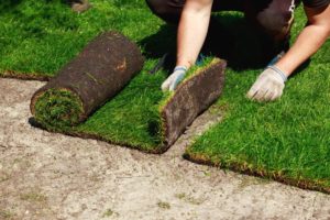 Sod Installation Guide The 6 Main Steps To Installing Sod For Your Lawn