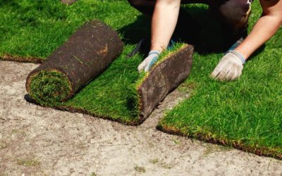 Sod Installation Guide – The 6 Main Steps to Installing Sod For Your Lawn…