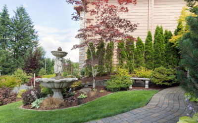 4 Front Lawn Landscaping Ideas That Are Sure to Add Curb Appeal to Your Home