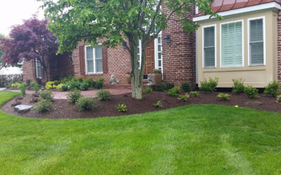 7 Reasons Your Garden & Landscape Can Benefit From Mulching…