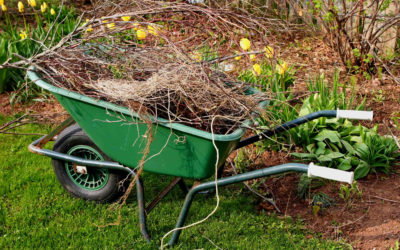 Let’s Start Talking About Getting Your Landscaping Ready for Spring…