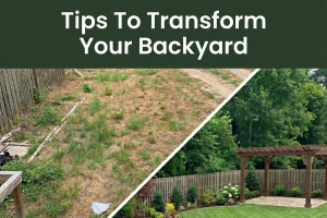 Tips to Transform Your Backyard wide | Davis Landscape Design & Installation