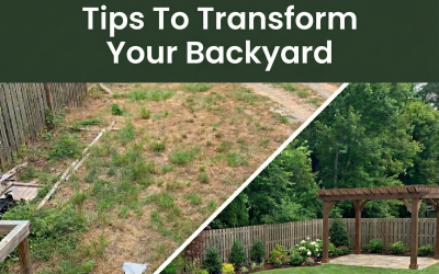 Transforming Your Backyard: A Comprehensive Landscaping Guide…