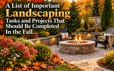 A List of Important Landscaping Tasks and Projects That Should Be Completed In the Fall…